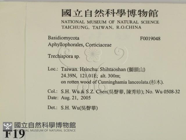 登錄號:F0019048藏品圖，第2張