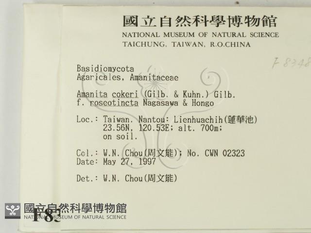 登錄號:F0008348藏品圖，第2張