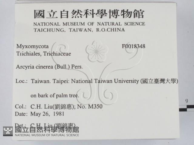 登錄號:F0018348藏品圖，第2張