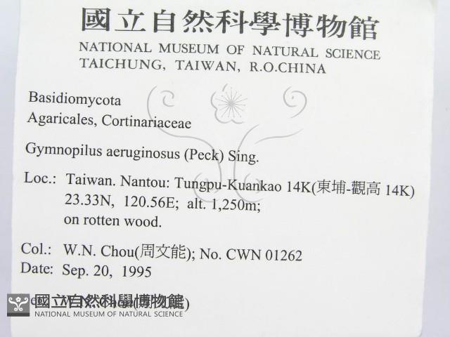 登錄號:F0004348藏品圖，第2張