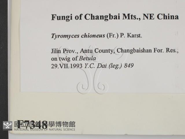 登錄號:F0007348藏品圖，第2張