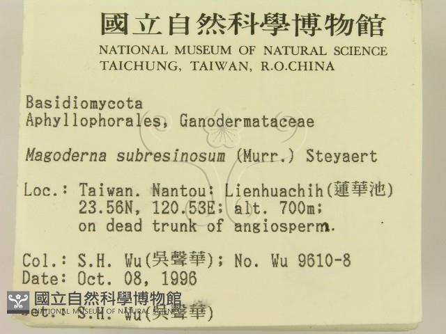 登錄號:F0005348藏品圖，第2張