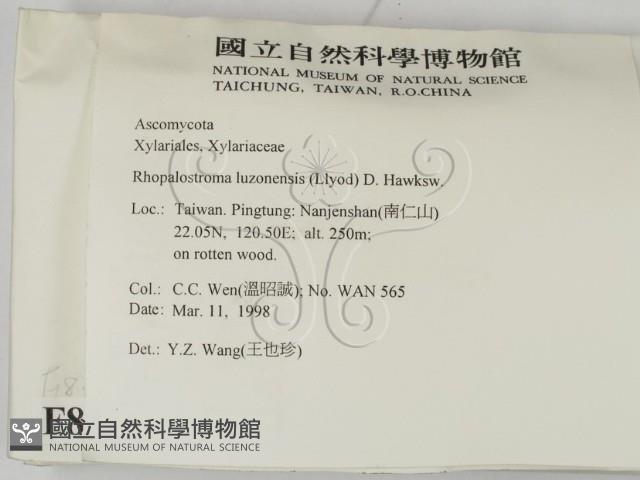 登錄號:F0008298藏品圖，第2張