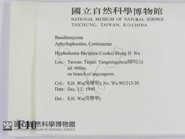 登錄號:F0010298藏品圖，第2張