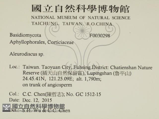 盤革菌屬藏品圖，第2張