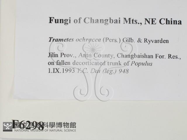 登錄號:F0006298藏品圖，第2張