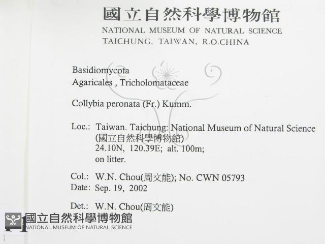 登錄號:F0016298藏品圖，第2張