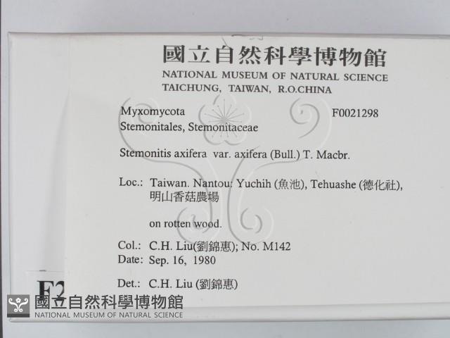 登錄號:F0021298藏品圖，第2張
