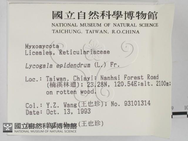 登錄號:F0001298藏品圖，第2張
