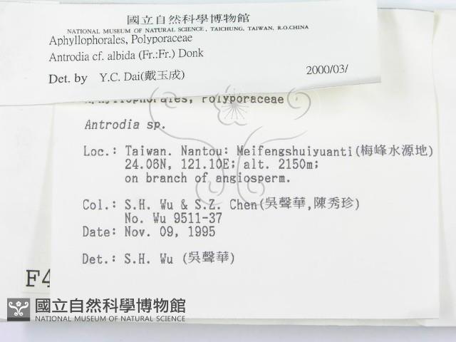 登錄號:F0004298藏品圖，第2張