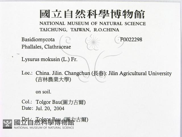 登錄號:F0022298藏品圖，第2張