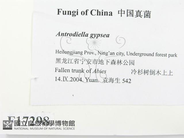 登錄號:F0017298藏品圖，第2張