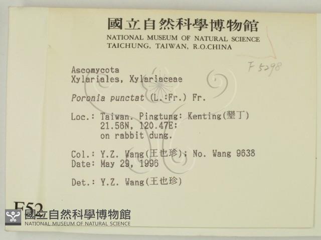 登錄號:F0005298藏品圖，第2張