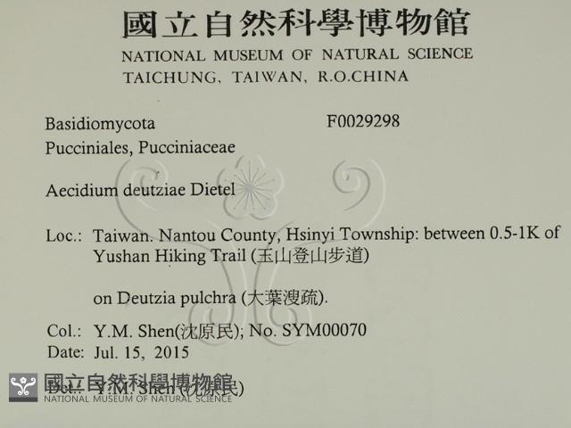 登錄號:F0029298藏品圖，第2張