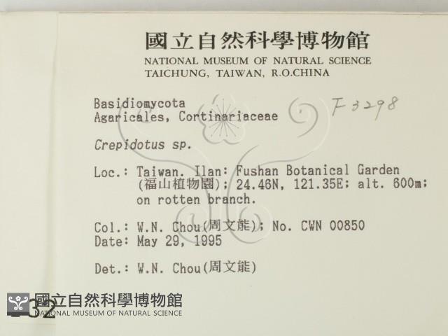 登錄號:F0003298藏品圖，第2張