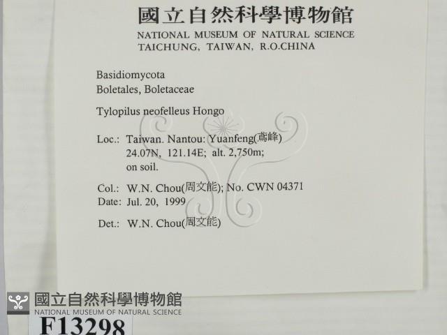 登錄號:F0013298藏品圖，第2張