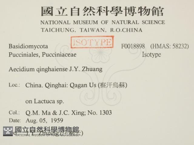 登錄號:F0018898藏品圖，第2張