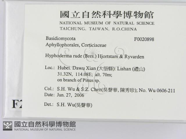 登錄號:F0020898藏品圖，第2張