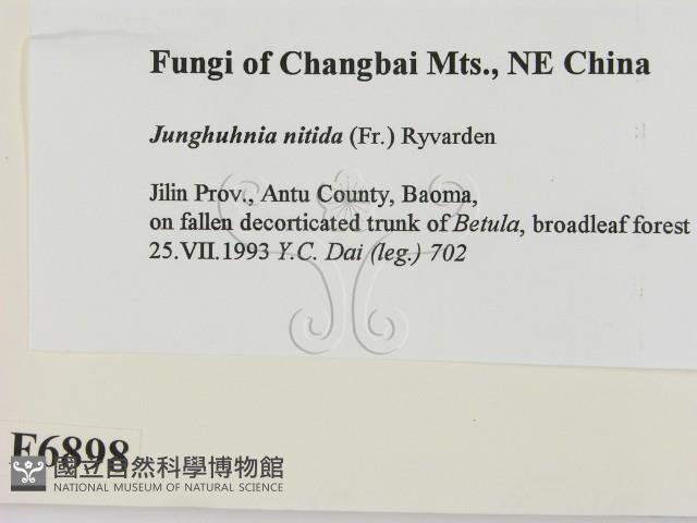 登錄號:F0006898藏品圖，第2張