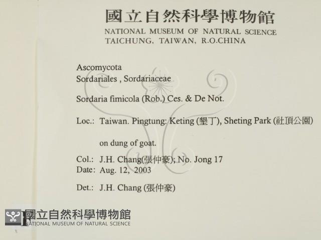 登錄號:F0016898藏品圖，第2張