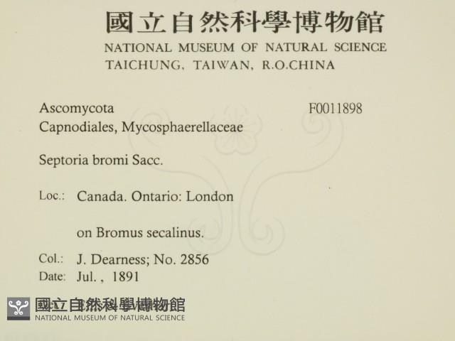 登錄號:F0011898藏品圖，第2張