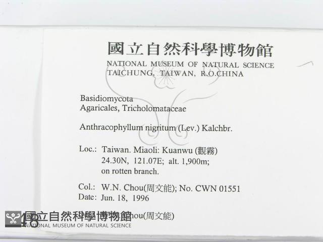 登錄號:F0004898藏品圖，第2張