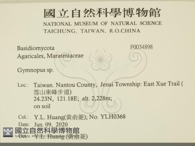 登錄號:F0034898藏品圖，第2張