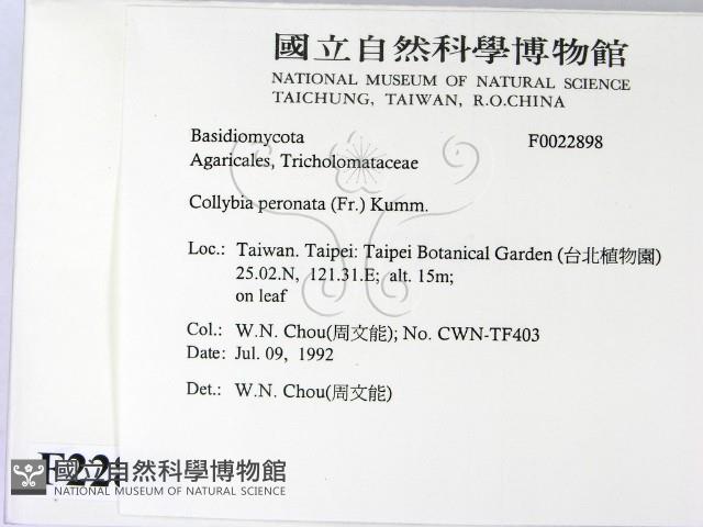 登錄號:F0022898藏品圖，第2張