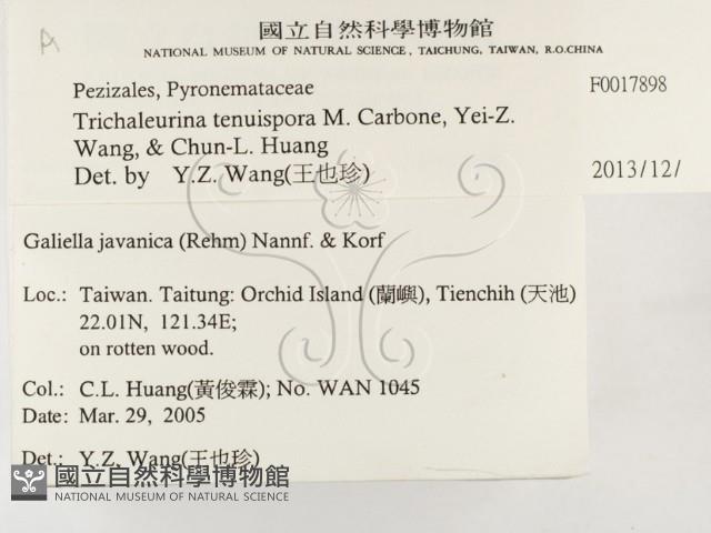 登錄號:F0017898藏品圖，第2張