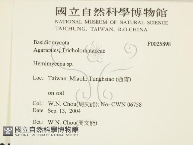 登錄號:F0025898藏品圖，第2張
