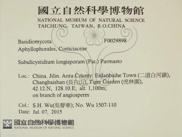 登錄號:F0029898藏品圖，第2張