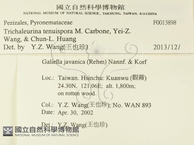 登錄號:F0013898藏品圖，第2張