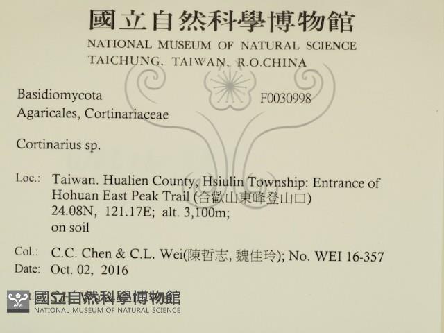 登錄號:F0030998藏品圖，第2張