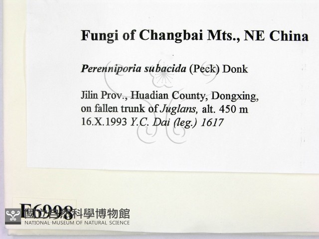 登錄號:F0006998藏品圖，第2張