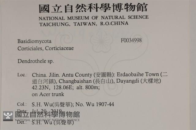 登錄號:F0034998藏品圖，第2張