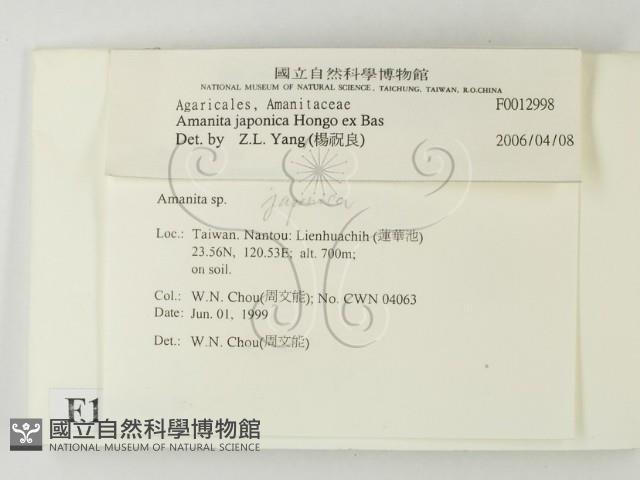 登錄號:F0012998藏品圖，第2張