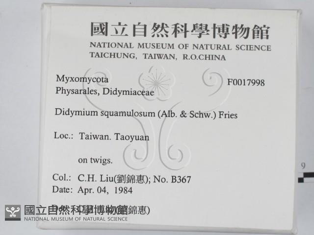登錄號:F0017998藏品圖，第2張