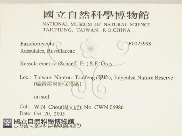 登錄號:F0025998藏品圖，第2張