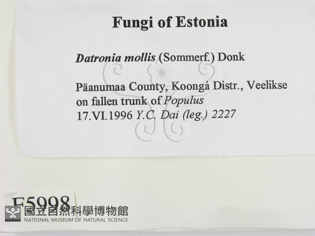 登錄號:F0005998藏品圖，第2張