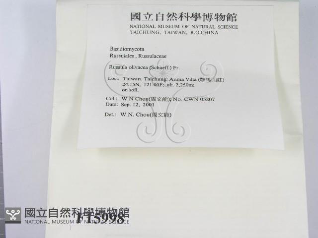 登錄號:F0015998藏品圖，第2張