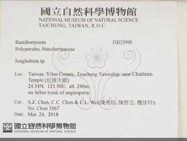 容氏菌屬藏品圖，第2張