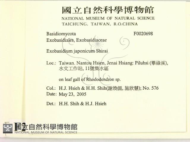 登錄號:F0020698藏品圖，第2張