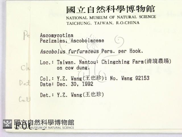 登錄號:F0000698藏品圖，第2張