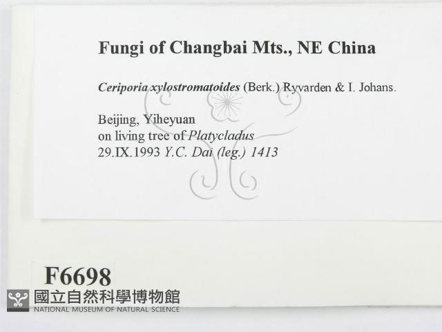 登錄號:F0006698藏品圖，第2張