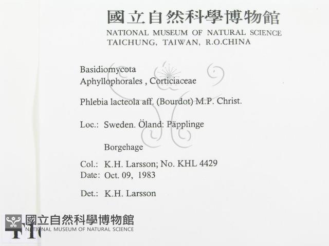 登錄號:F0016698藏品圖，第2張