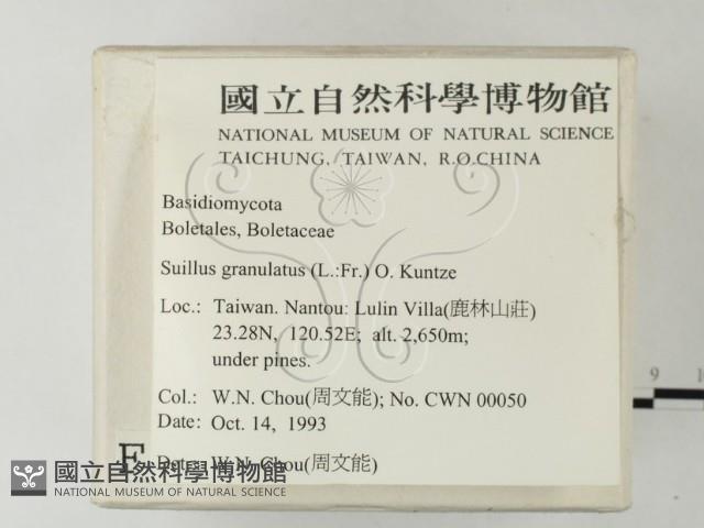 登錄號:F0001698藏品圖，第2張