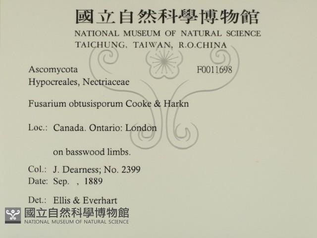登錄號:F0011698藏品圖，第2張