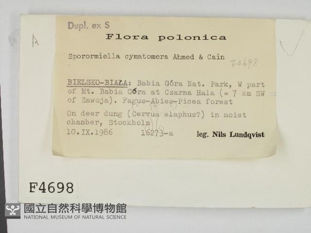 登錄號:F0004698藏品圖，第2張