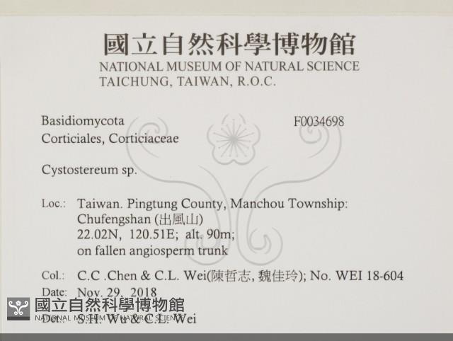 登錄號:F0034698藏品圖，第2張