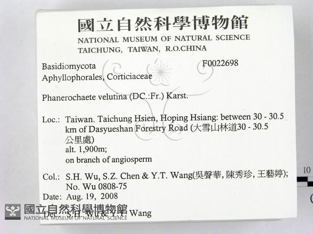 登錄號:F0022698藏品圖，第2張